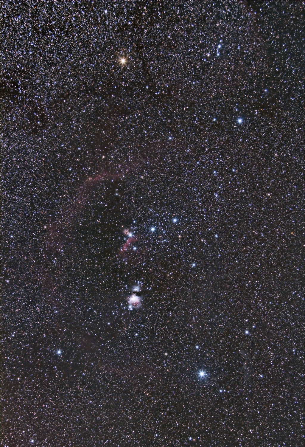 Orion Widefield